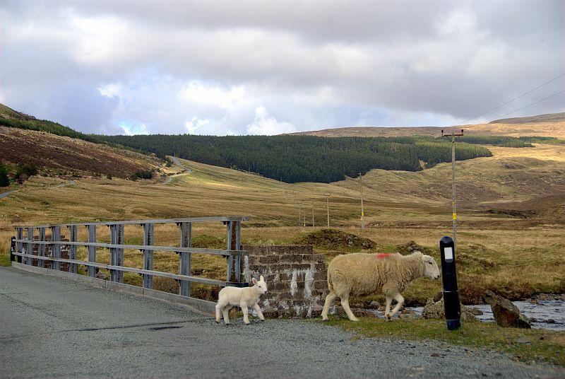 Scotland