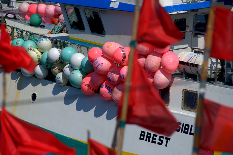 Brittany Colors