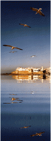 Morrocco