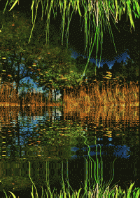 Bayou