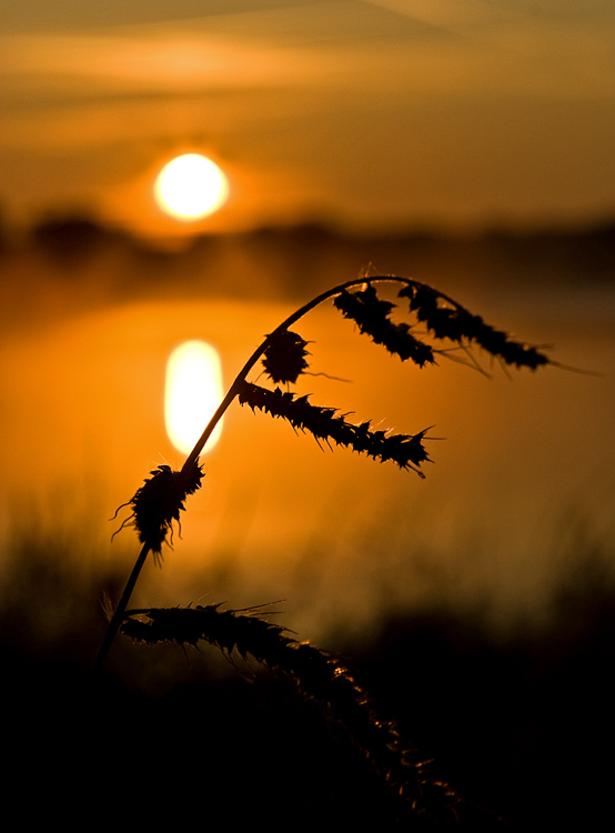07_Sep_09_Belfort Sunrise