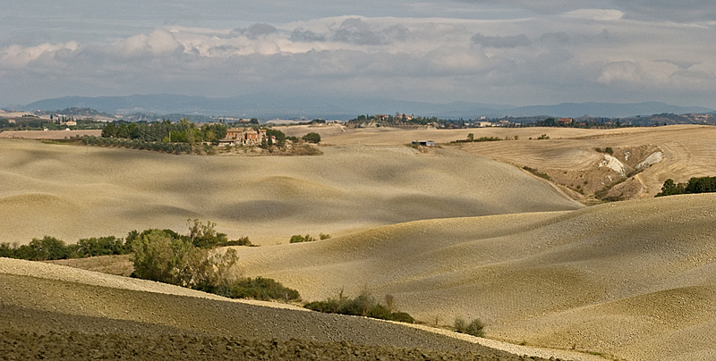 15_Sep_09 Toscana Folds