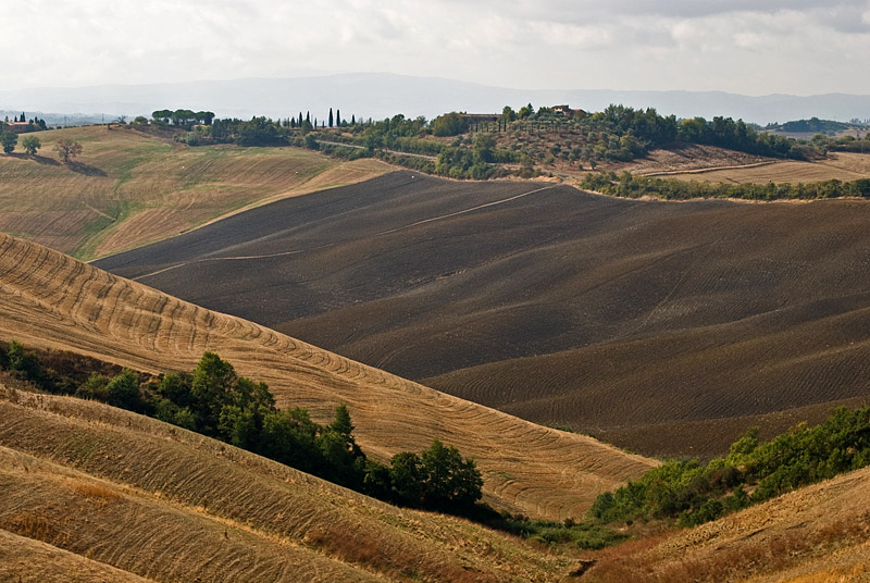 15_Sep_09-01 Toscana