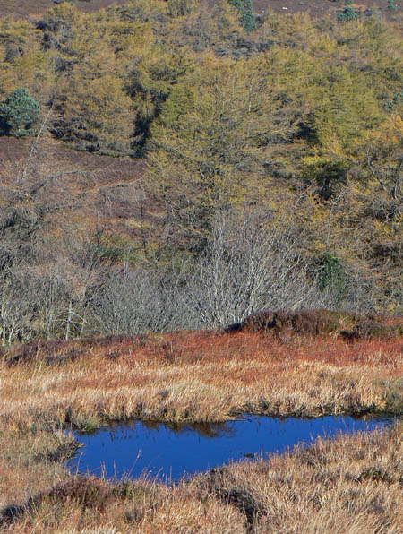 28_Oct_07a <br> Blue Pool