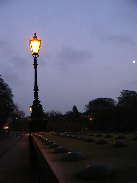 21_Nov_07a <br> Jesmond Dene