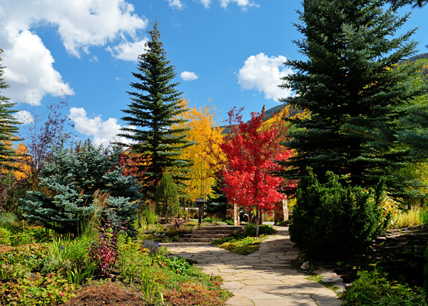 Fall At Betty Ford Alpine Gardens Photo Earthsmiles Photos At