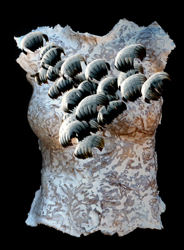 paradorn