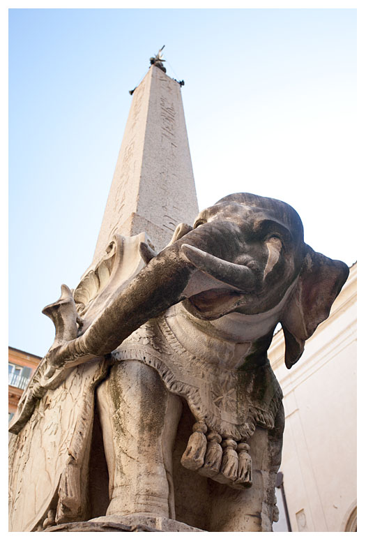 Pulcino della Minerva