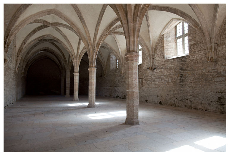 Abbaye de Cluny