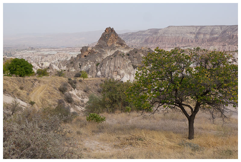Rose Valley