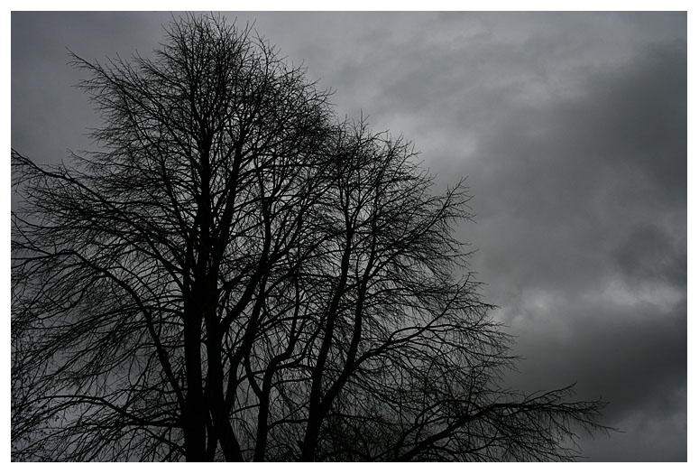 Stormy weather