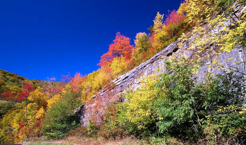  Cherohala Skyway