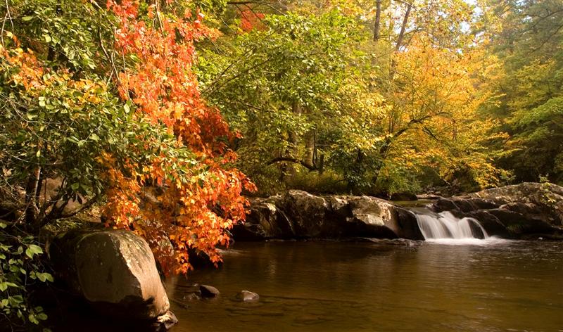 Tellico River