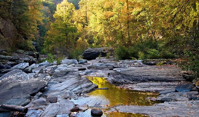  Tellico River