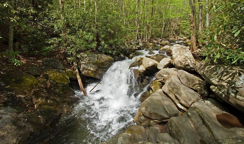 Lynn Camp Prong Cascades