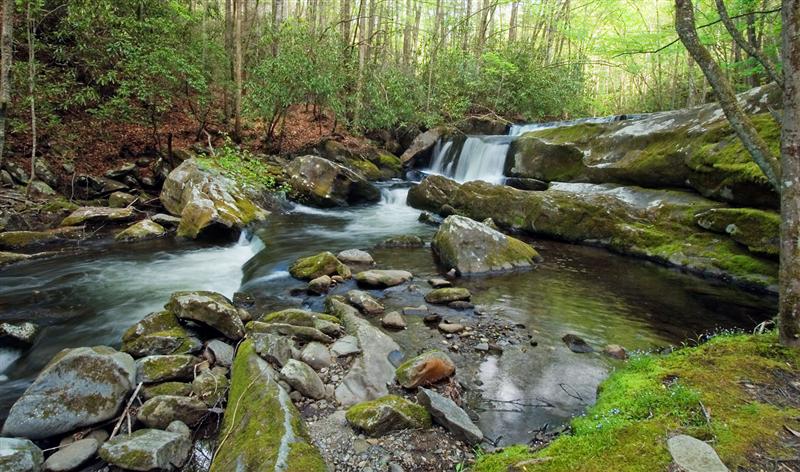 Lynn Camp Prong Waterfall