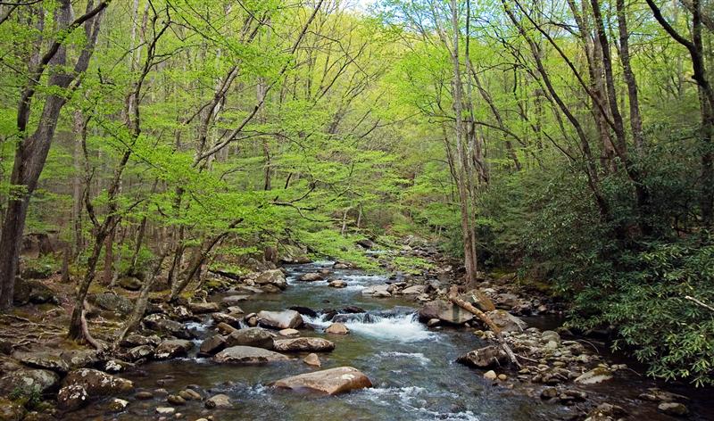 Little Pigeon River