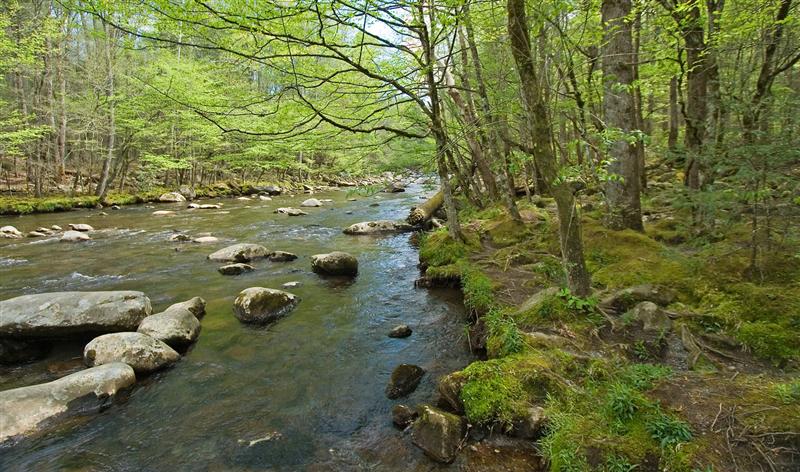 Little Pigeon River