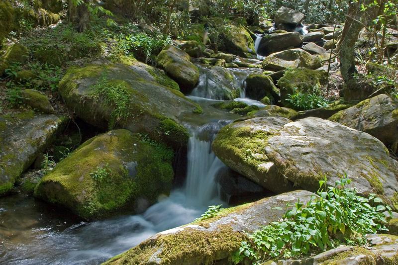 Roaring Fork Motor Trail