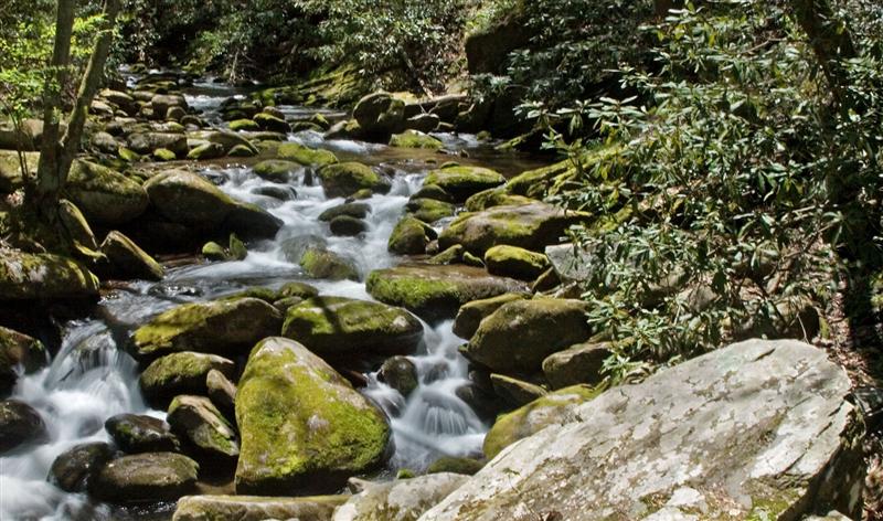 Roaring Fork Motor Trail