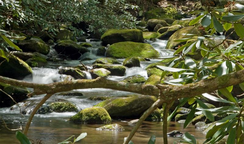 Roaring Fork Motor Trail