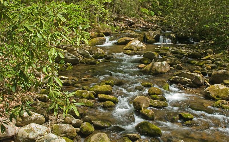 Roaring Fork Motor Trail