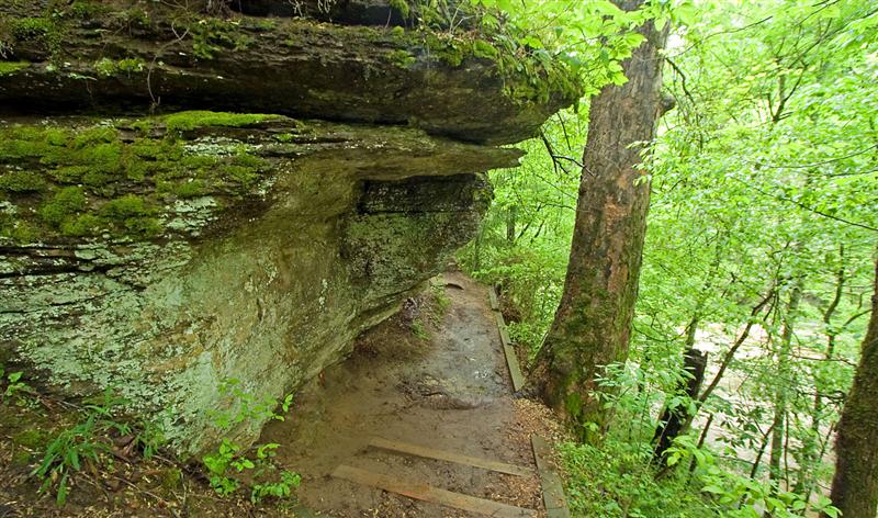  Trail, Burgess Falls SP