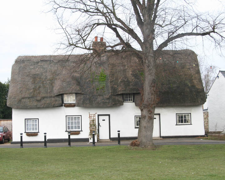Thatched Cottage