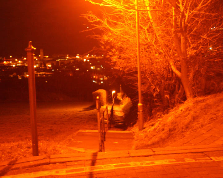 Townhill Steps