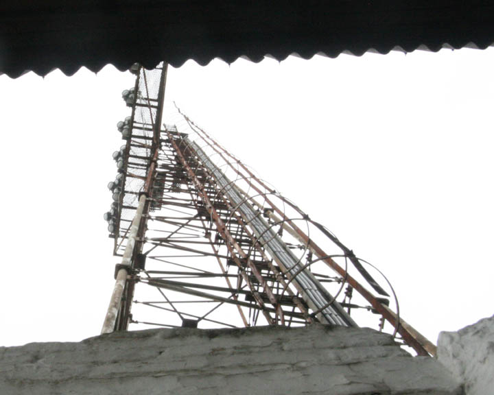 194.jpg