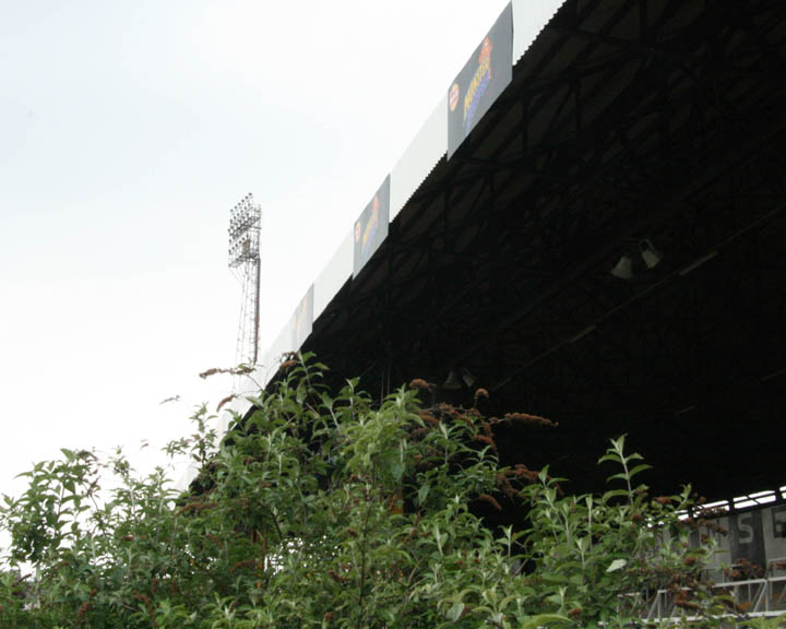 210.jpg