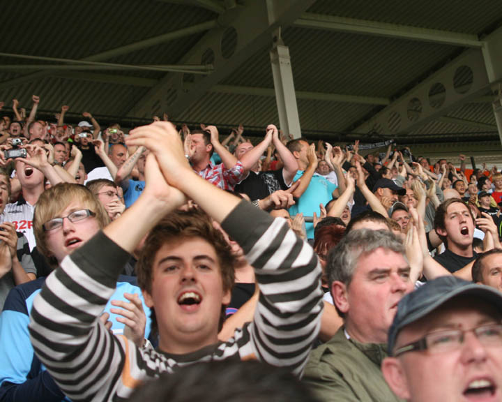 Swans Fans