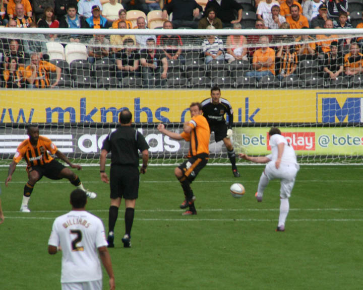 Swans Shot