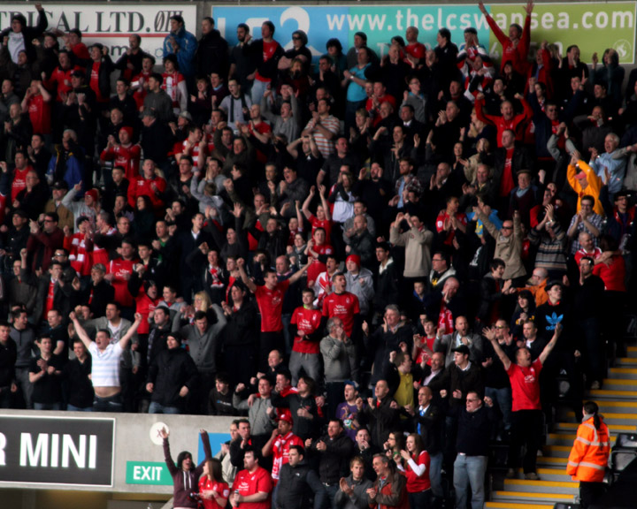 Forest Celebrate
