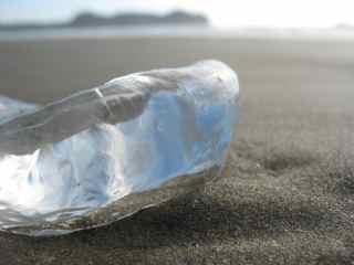 stranded jellyfish iceberg