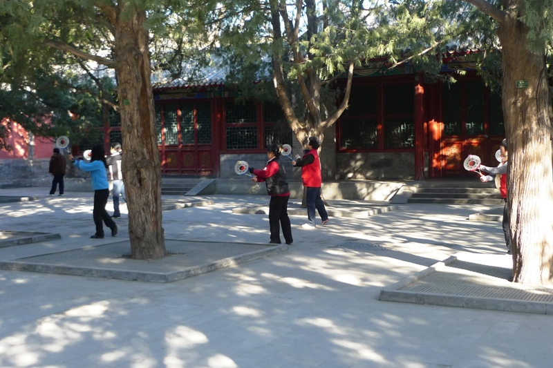 tai chi in the park