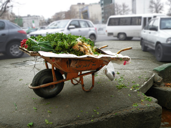 Sabzi Khordan Inside Wheelborrow
