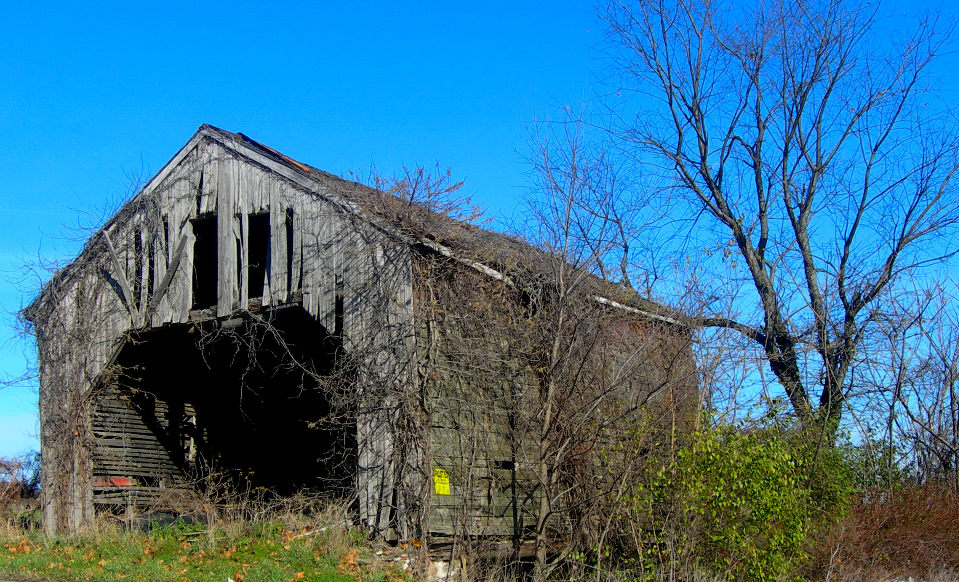 gray barn