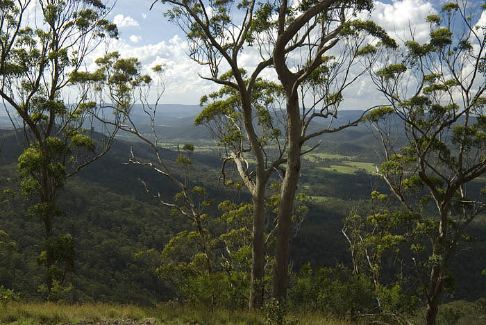 Views over the ranges from Spicers Peak