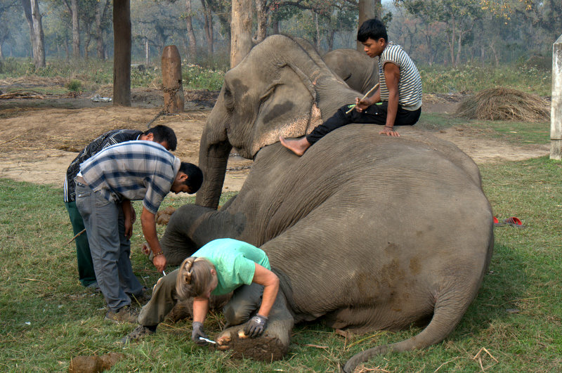 Time for a pedicure, Chitwan, Nepal