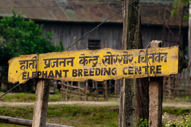 Elephant Breeding Centre