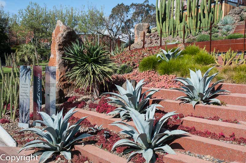 Guilfoyle's Volcano, landscaped with drought-resistant plants