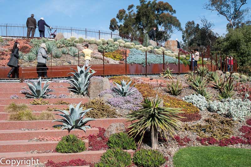 Guilfoyle's Volcano, landscaped with drought-resistant plants