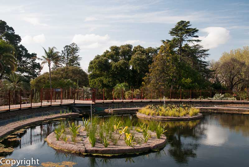 The water recycling system inside Guilfoyle's Volcano