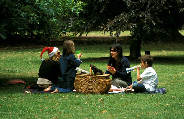 Christmas picnic