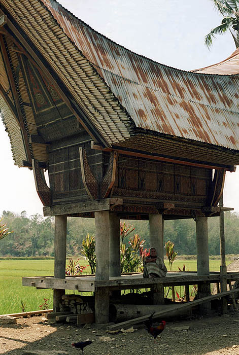 Resting under a tongkonan or rice granary