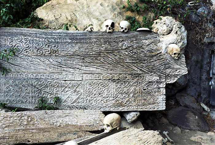 Toraja coffin and ancestral skulls