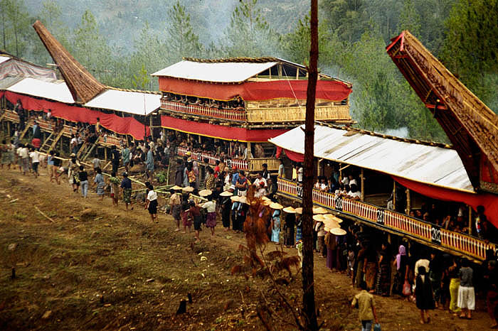 Toraja funerals are enormous affairs