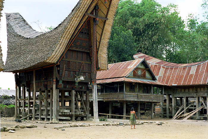 Traditional boat-shaped Toraja homes