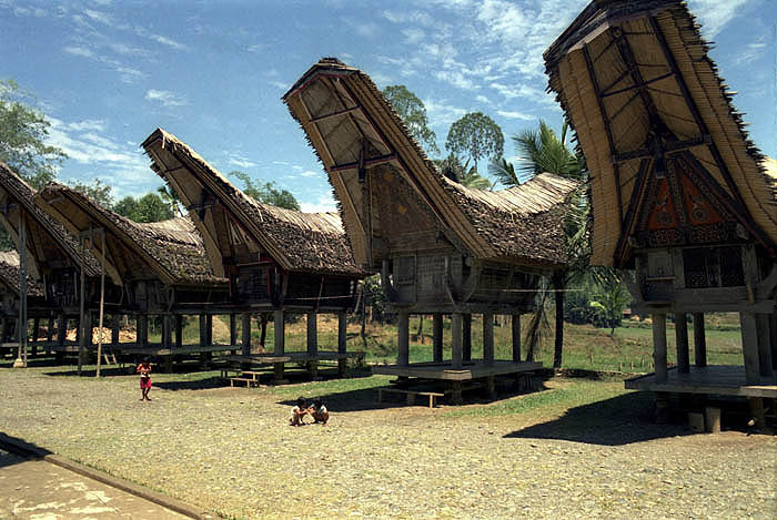 Traditional boat-shaped Toraja rice granaries